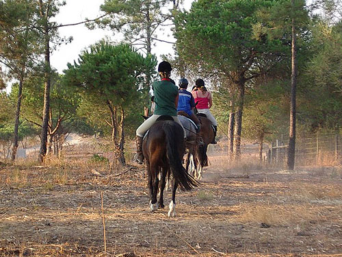 Horse riding