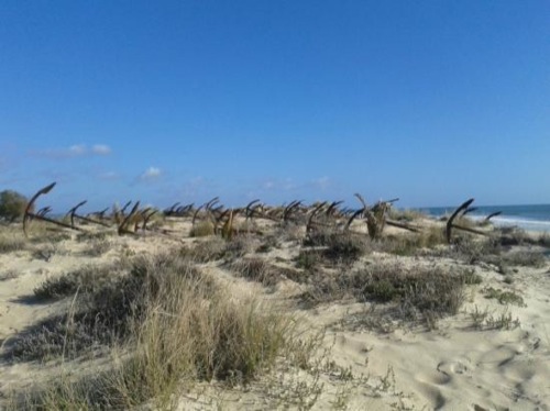 Praia do Barril