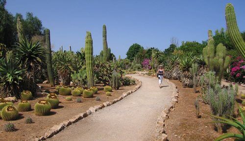 Botanicactus Botanical Gardens, Ses Salines