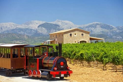 Mallorca Wine Tours, Binissalem