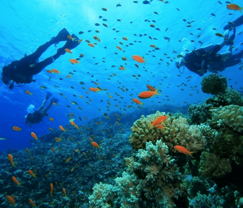 Barbados Activities