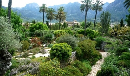 Soller Botanical Garden, Soller