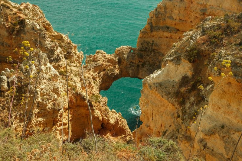 pexels-breno-barison-13703440